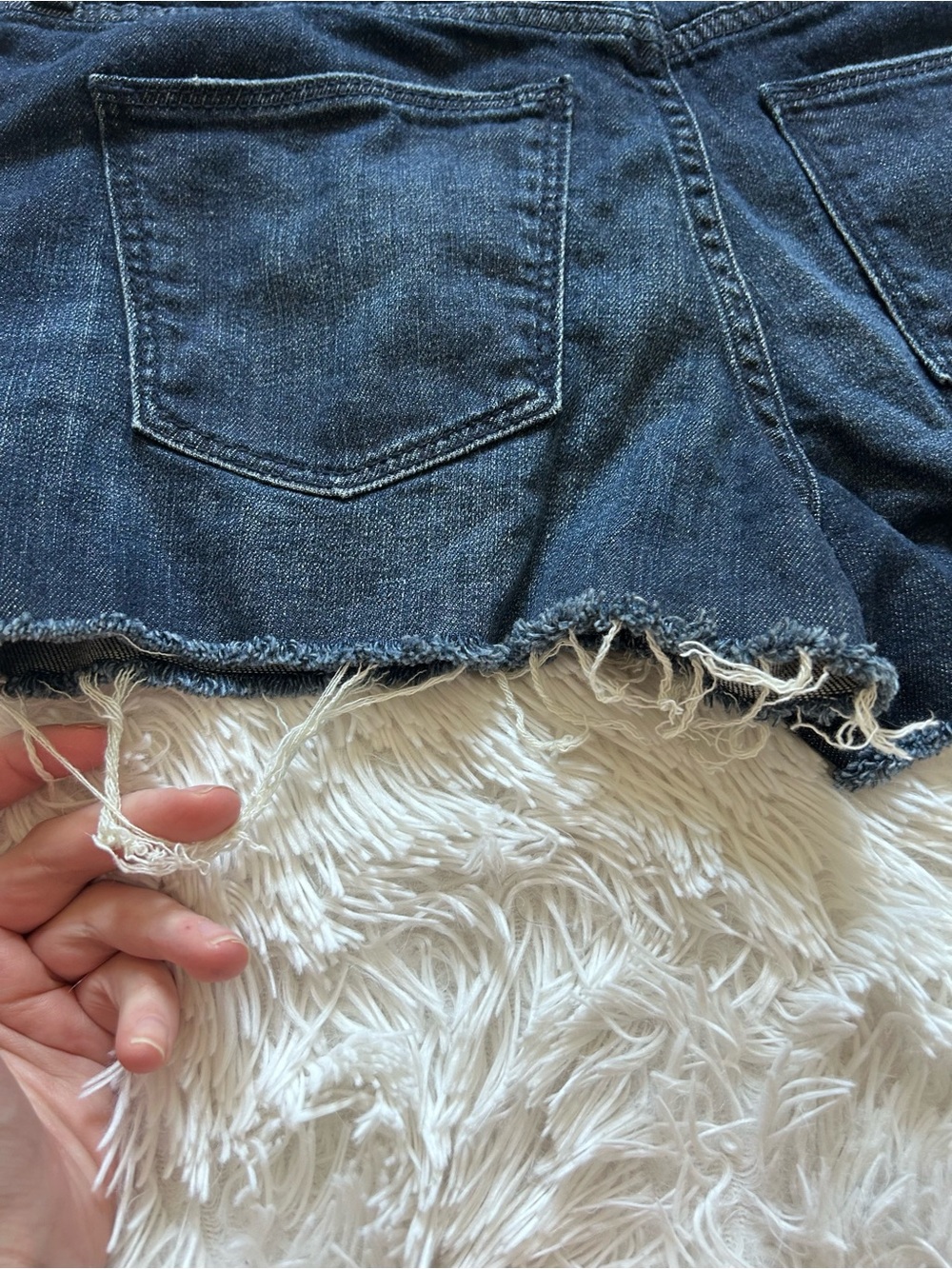 Universal Thread Shorts - Picture 4 of 6